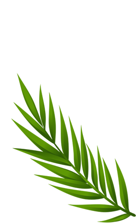 About Leaf